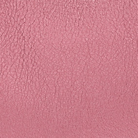 Furla Delizia Mini Shoulder Bag